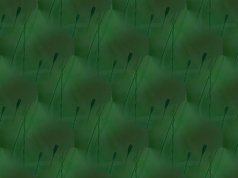 Die Grafik "<a href=